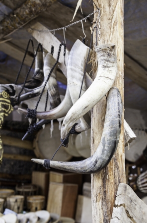 Medieval animal horns, detail from stuffed animal for decor, taxidermy and traditionの写真素材