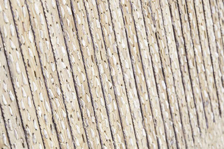 Stones embedded wood, detail of a wooden board to rip and scrape