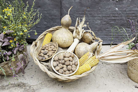 Nuts and corn in a basket, detail of a dry cerealの写真素材