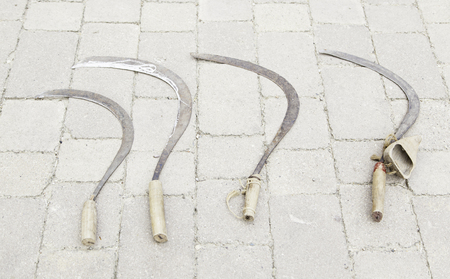 Old rusty scythes, detailed toolset for field cropの写真素材