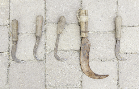 Old rusty scythes, detailed toolset for field cropの写真素材
