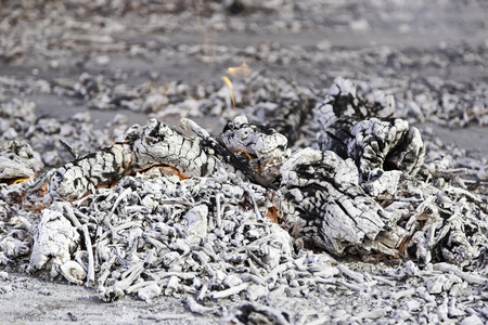 Fire wood embers, detail of a fire to grill