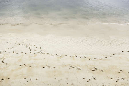 Footprints in the sand on the beach, detail of footprints, seaの写真素材