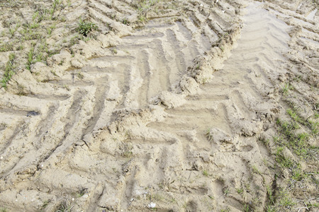 Wheel tracks in the mud, detail footprints Car
