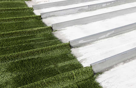 Ice and grass, detail ice rinkの写真素材