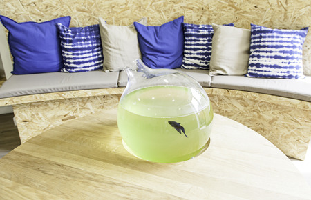 Fish tank decoration, detail of a room to restの写真素材