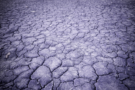 Dry earth ecological disaster, detail of climate change, drought and neglectの写真素材