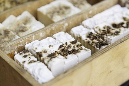 Soaps artisans, detail of soaps for body washの写真素材