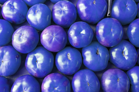 Tomatoes in a market, detail of a vegetable, ecological agricultureの写真素材