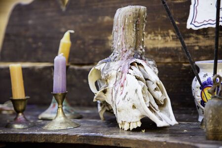 Goat skulls for terrifying decoration, halloween detail, witchcraftの写真素材