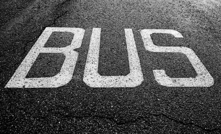 Bus signal on the asphalt, traffic signal detail of public transportの写真素材