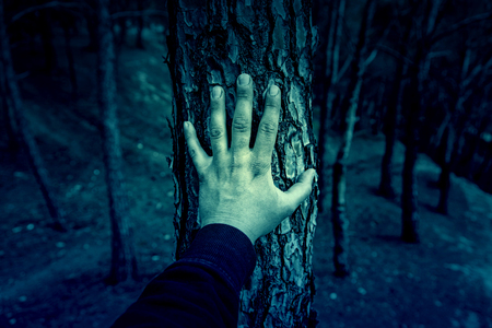 Male hand touching a tree, detail of love for nature, environment