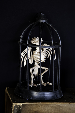 Scary halloween skulls, monstrous death decorationの写真素材