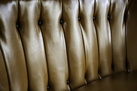 Bright leather detail, detail of animal skin on a seatの写真素材