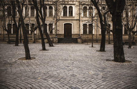 Square with trees, detail of trees in the cityのeditorial素材