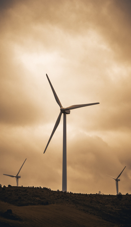 Pollution-free wind power, detail of conservation of the environment