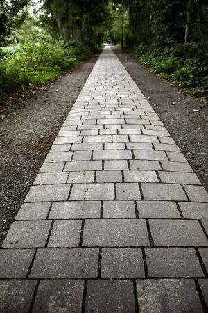 Cobblestone road in the forest, pedestrian walk detail, nature in the forest