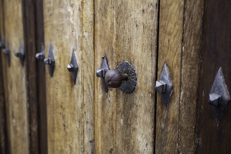 Medieval wooden door, decoration and protection detail, wood art