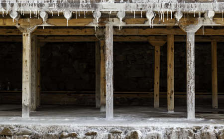 Salt in saline production, manufacturing and industry, nutritional properties