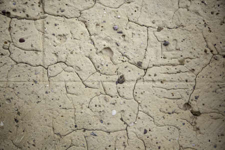 Detail of wall in ruins, abandonment and destruction