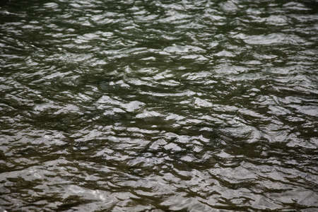 Detail of salt water offshore, nature
