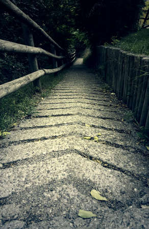 Access detail for people on a nature route