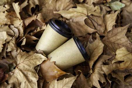 Detail of glass of coffee thrown in a forest, environmentの写真素材