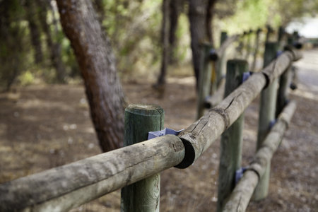 Path detail for people in natureの写真素材