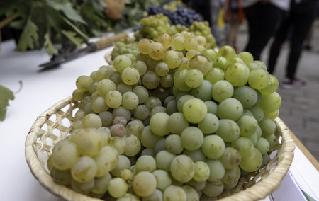 Detail of fresh fruit in a market, healthy food, vegetarianの写真素材