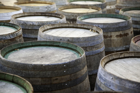 Detail of old oak wooden barrels to store wine