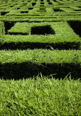 Detail of escape game in nature, survival and funの写真素材