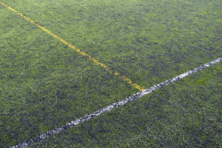 Soccer field detail, competition and rivalry, elite sport