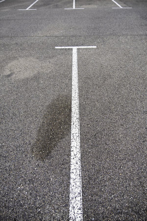 Detail of parking lines in a public parking lot, road signsの写真素材