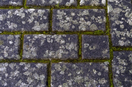 Floor detail of old cobblestones in a pedestrian walkwayの写真素材