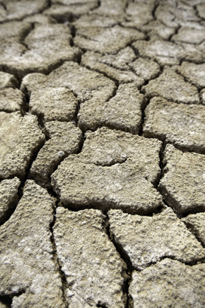 Detail of climate change and environmental destructionの写真素材