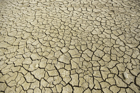 Detail of climate change and environmental destructionの写真素材