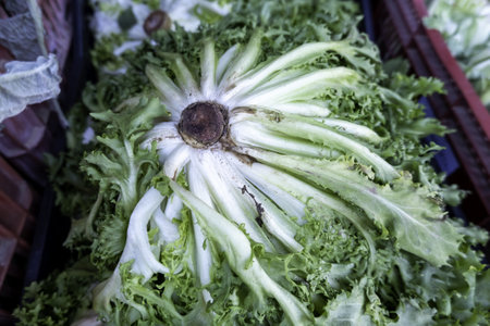 Detail of fresh vegetables in a traditional market, healthy food, dietの写真素材