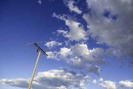 Detail of electrical energy transport in natureの写真素材