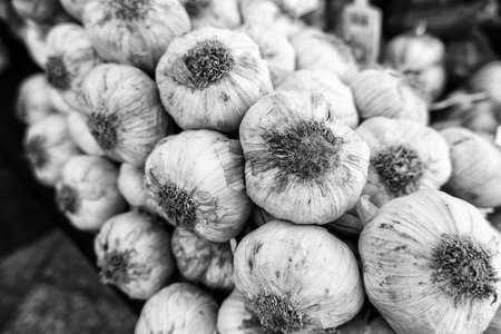 Detail of typical condiment from Spain, healthy food, veganの写真素材