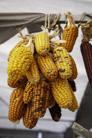 Detail of cereal drying in the open air, healthy food, vegan