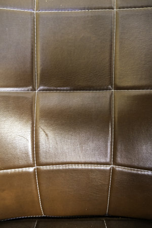 Detail of tanned animal skin background, decoration with skinの写真素材