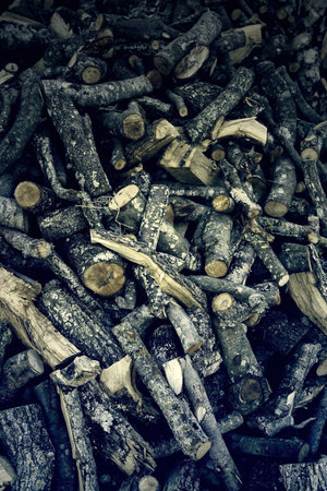 Detail of pieces of wood cut for firewood