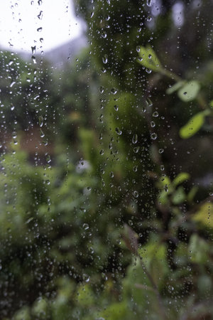 Detail of wet window on a cold rainy day in winterの写真素材