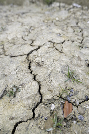 Detail of climate change and environmental destructionの写真素材