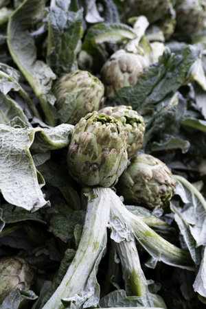 Detail of fresh vegetables at a market in the cityの写真素材