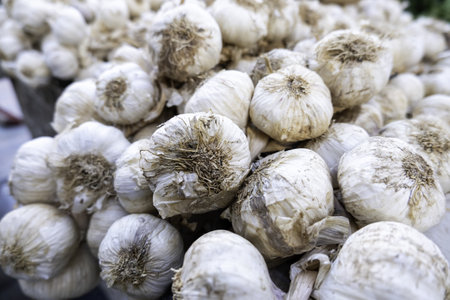 Detail of vegetables in a market, seasoningの写真素材