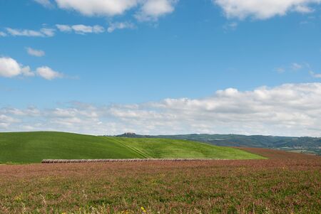 landscape of the hills in Tuscanyの写真素材