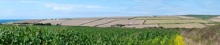 overview of cultivated fields near the sea in cornwallの写真素材
