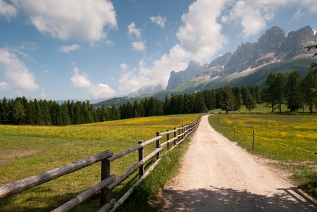 dirt road in the mountains of South Tyrol in Italyの写真素材