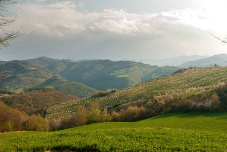spring with cherry blossoms in Italyの写真素材